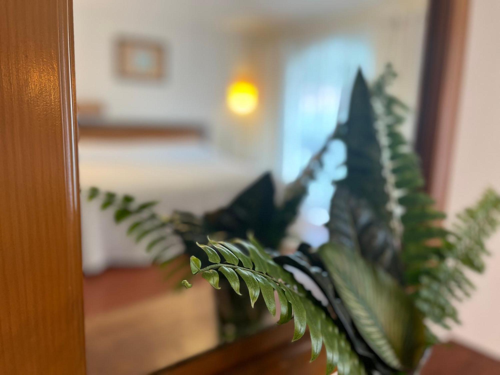 Hotel Ilebal Cuernavaca Centro - Lugar Con Encanto! Экстерьер фото