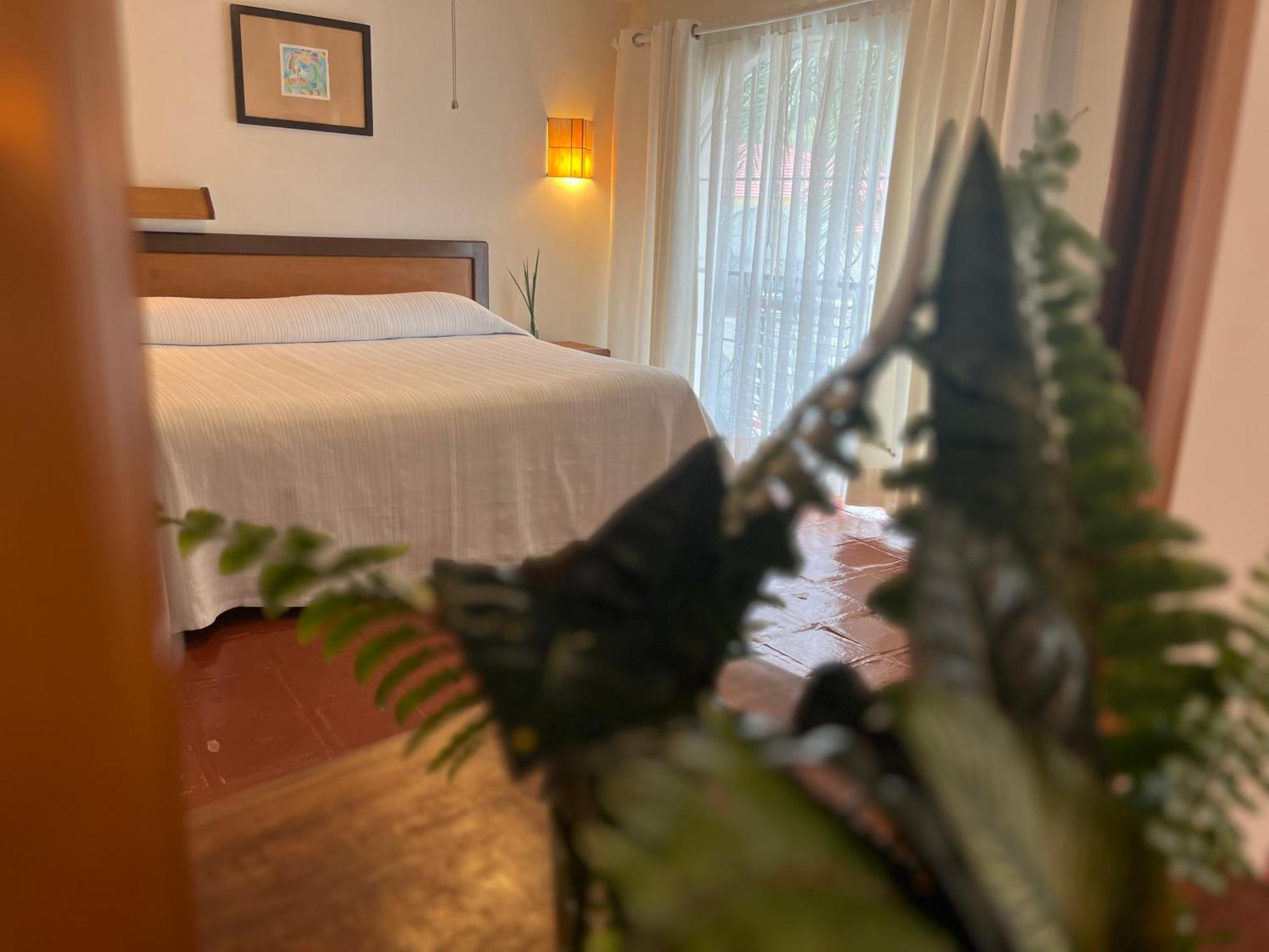 Hotel Ilebal Cuernavaca Centro - Lugar Con Encanto! Экстерьер фото